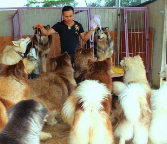 Thực phẩm bẩn: Trách nhiệm thuộc về ai?