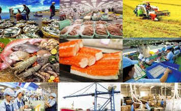 Chỉ thị của Thủ tướng Chính phủ về việc thực hiện các nhiệm vụ, giải pháp trọng tâm thúc đẩy xuất khẩu, phát triển thị trường ngoài nước