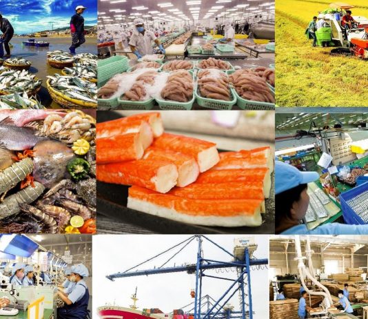 Chỉ thị của Thủ tướng Chính phủ về việc thực hiện các nhiệm vụ, giải pháp trọng tâm thúc đẩy xuất khẩu, phát triển thị trường ngoài nước