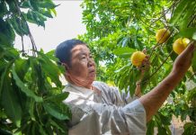 Kênh tiêu thụ mới cho nông sản và đặc sản địa phương