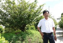 Lão nông tỷ phú Cần Thơ làm giàu từ lúa giống và chuyện giúp người ai cũng nể