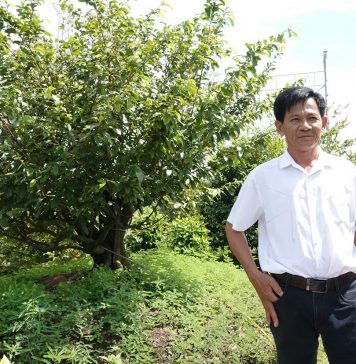 Lão nông tỷ phú Cần Thơ làm giàu từ lúa giống và chuyện giúp người ai cũng nể