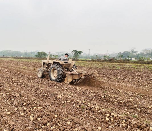 Nhiều lợi ích từ đồng bộ cơ giới hóa sản xuất nông nghiệp