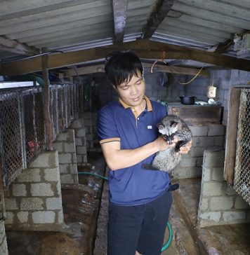 Người dân hé lộ cách nuôi động vật hoang dã quý hiếm để làm giàu