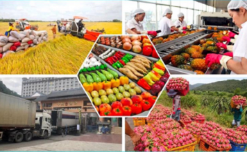 Những nông sản Việt Nam xuất khẩu nhiều nhất sang ASEAN