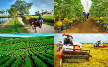 Phê duyệt Chiến lược phát triển khuyến nông tầm nhìn đến năm 2050