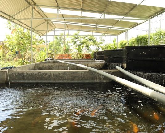 “Rời tay súng, chắc tay nghề” làm giàu trên miền quê Hà Tĩnh