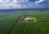 Cao su Chư Sê Kampong Thom đưa thương hiệu “VRG GREEN” vươn ra quốc tế