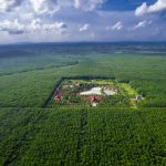 Cao su Chư Sê Kampong Thom đưa thương hiệu “VRG GREEN” vươn ra quốc tế