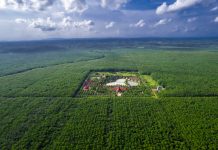 Cao su Chư Sê Kampong Thom đưa thương hiệu “VRG GREEN” vươn ra quốc tế