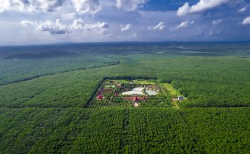 Cao su Chư Sê Kampong Thom đưa thương hiệu “VRG GREEN” vươn ra quốc tế