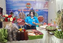 Gia Lai: Tôn vinh nông dân sáng tạo, mở lối cho nông nghiệp bền vững
