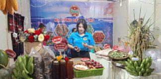 Gia Lai: Tôn vinh nông dân sáng tạo, mở lối cho nông nghiệp bền vững
