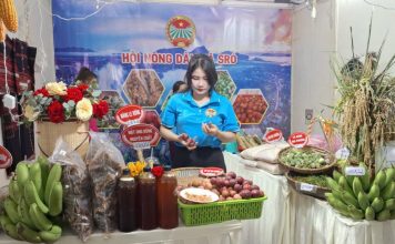Gia Lai: Tôn vinh nông dân sáng tạo, mở lối cho nông nghiệp bền vững