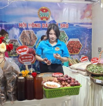Gia Lai: Tôn vinh nông dân sáng tạo, mở lối cho nông nghiệp bền vững