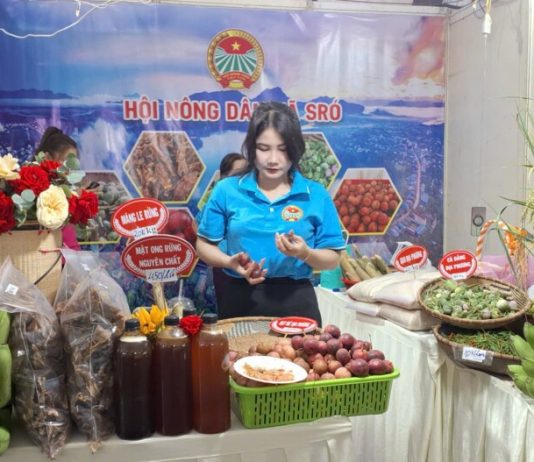 Gia Lai: Tôn vinh nông dân sáng tạo, mở lối cho nông nghiệp bền vững