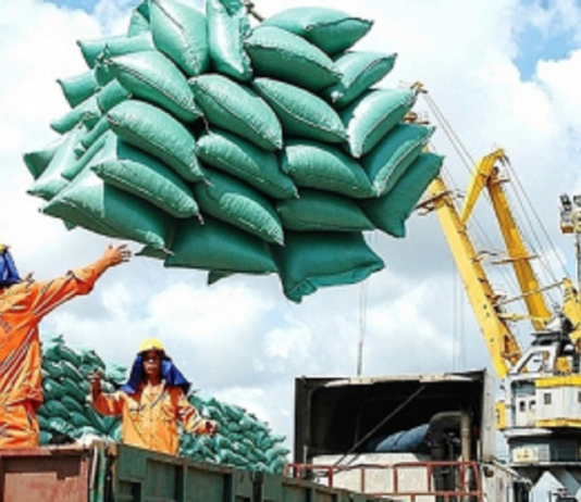 Xuất khẩu gạo Việt Nam chững lại vì Philippines tạm ngừng nhập khẩu