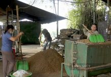 Trang trại nấm hương “khủng” ở Cao Bằng, bất ngờ nhất là trồng nấm hương trái vụ, cả làng phục lăn