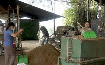 Trang trại nấm hương “khủng” ở Cao Bằng, bất ngờ nhất là trồng nấm hương trái vụ, cả làng phục lăn