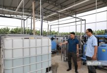 Doanh nghiệp Việt cùng nông dân đưa nông sản vươn tầm quốc tế