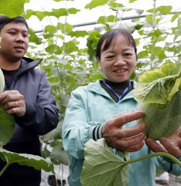Tận dụng lợi thế, thu hút nhiều nhà đầu tư lớn vào nông nghiệp công nghệ cao