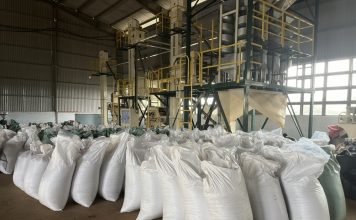 Xuất khẩu nông lâm thủy sản tăng trưởng bứt phá, kỳ vọng “về đích” với 70 tỷ USD