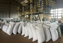 Hồ tiêu bị nhiễm chất sudan: Cảnh báo và giải pháp