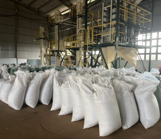 Hồ tiêu bị nhiễm chất sudan: Cảnh báo và giải pháp