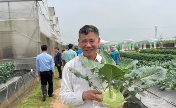 Phát triển thủy lợi, nền tảng vững chắc cho xây dựng nông thôn mới bền vững