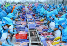 Hai kịch bản cho xuất khẩu thủy sản Việt Nam nửa cuối năm 2025