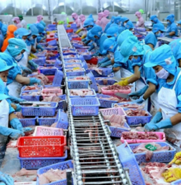 Hai kịch bản cho xuất khẩu thủy sản Việt Nam nửa cuối năm 2025