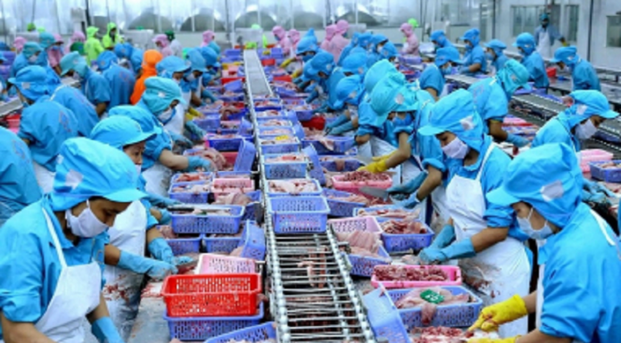 Hai kịch bản cho xuất khẩu thủy sản Việt Nam nửa cuối năm 2025