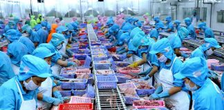 Thủy sản Việt Nam đa dạng sản phẩm và nâng cao giá trị nhằm đảm bảo tăng trưởng xuất khẩu