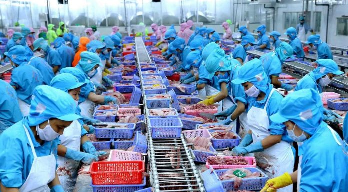 Thủy sản Việt Nam đa dạng sản phẩm và nâng cao giá trị nhằm đảm bảo tăng trưởng xuất khẩu