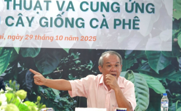 Hoàng Anh Gia Lai đầu tư mạnh mẽ, trồng mới 10.000 ha cà phê