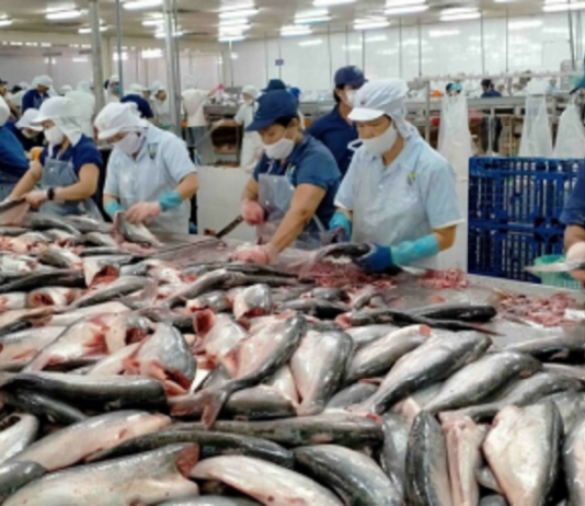 Trung Quốc vẫn dẫn đầu danh sách nhập cá tra Việt Nam