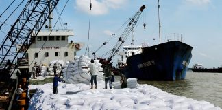 Việt Nam đã xuất khẩu gần 5,9 triệu tấn gạo