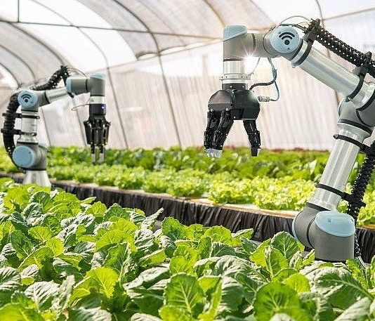 Cần cơ chế đặc thù để phát triển nhân lực nông nghiệp chất lượng cao