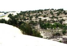 Nữ cán bộ đánh thức tiềm năng vùng gió Lào, cát trắng