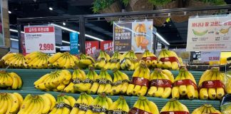 Hoàng Anh Gia Lai (HAG) lãi 1.312 tỷ, vượt 18% kế hoạch cả năm