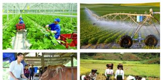 Cơ hội để nông nghiệp, nông thôn phát triển