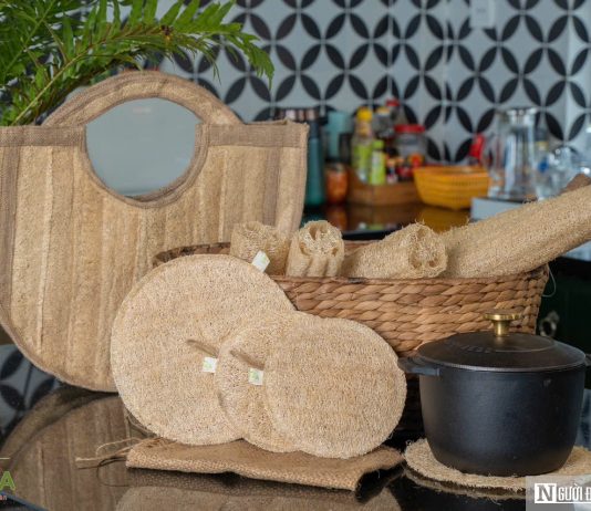 Biến thứ bỏ đi thành “siêu phẩm”, anh giám đốc trao cơ hội làm giàu cho nhiều nông dân