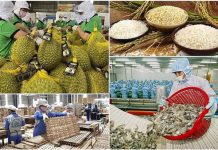 Hơn 231 nghìn doanh nghiệp gia nhập và tái gia nhập thị trường trong tháng 9