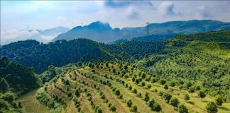 Hướng đi mới cho nông nghiệp địa phương