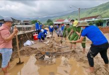 Hỗ trợ hóa chất, giống cây trồng, vật nuôi để khôi phục sản xuất sau lũ