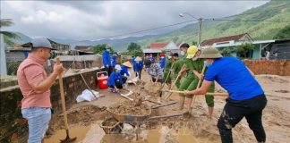 Hỗ trợ hóa chất, giống cây trồng, vật nuôi để khôi phục sản xuất sau lũ