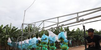 Khát vọng nông nghiệp xanh: Doanh nghiệp Việt cùng nông dân đưa nông sản vươn tầm quốc tế