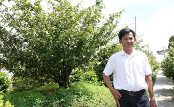 Lão nông tỷ phú Cần Thơ làm giàu từ lúa giống và chuyện giúp người ai cũng nể