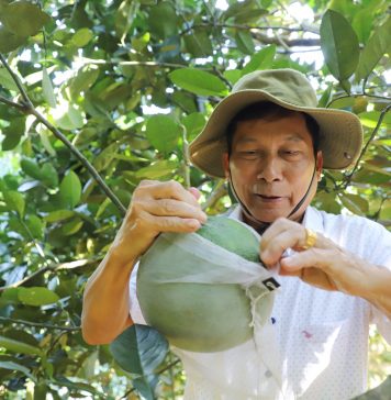 Mô hình mới là động lực giúp nông dân một huyện ở Hà Giang nâng cao thu nhập, giảm nghèo bền vững