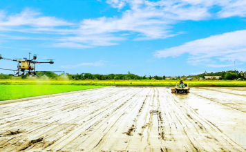 Ngành nông nghiệp và môi trường trong chuyển đổi xanh và phát triển bền vững đất nước